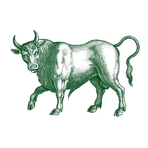بیل