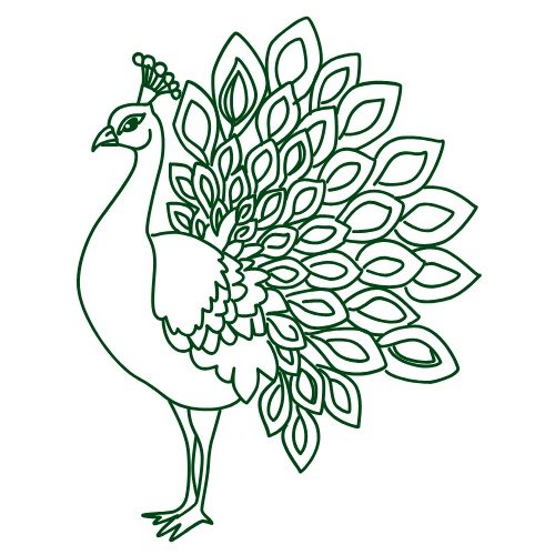 مور / مورنی